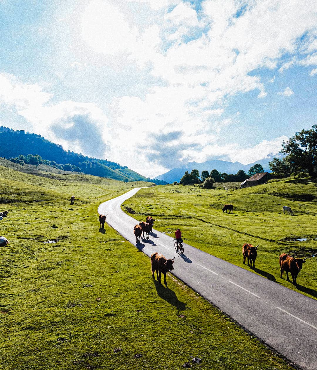 Race across France 2024